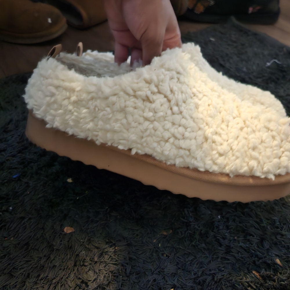 Fur Slides - Picture 2 of 2